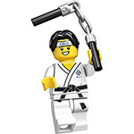 LEGO Minifigure Series 20 Martial Arts Boy COL20-10